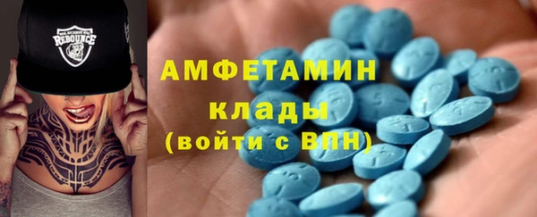 гидра Алексеевка