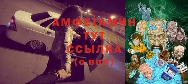 гидра Алексеевка