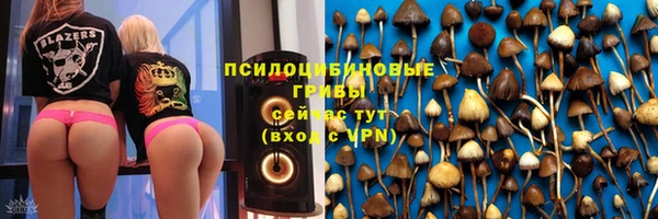 гидра Алексеевка